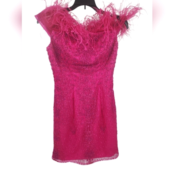 Alyce Paris Pink Feathered and Beaded Dress‎ 2 - Picture 1 of 4